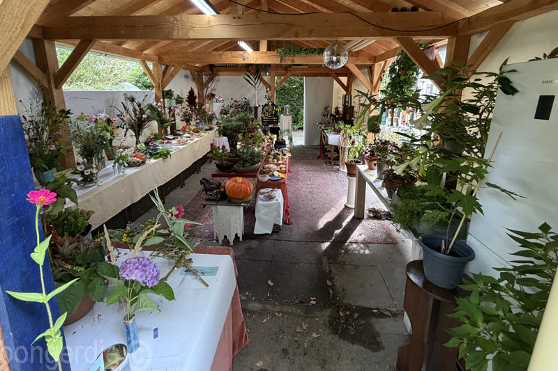  expositie tuinders volkstuinpark Buitenzorg 