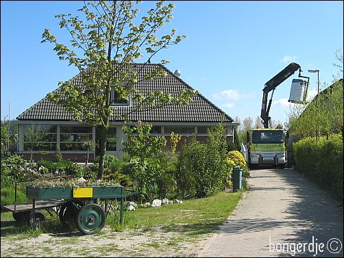 zwarte goud