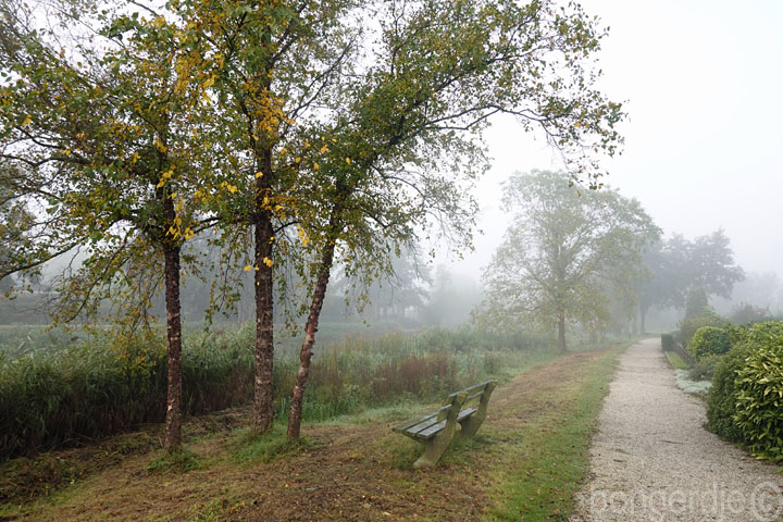 herfst - mistig op de Bongerd