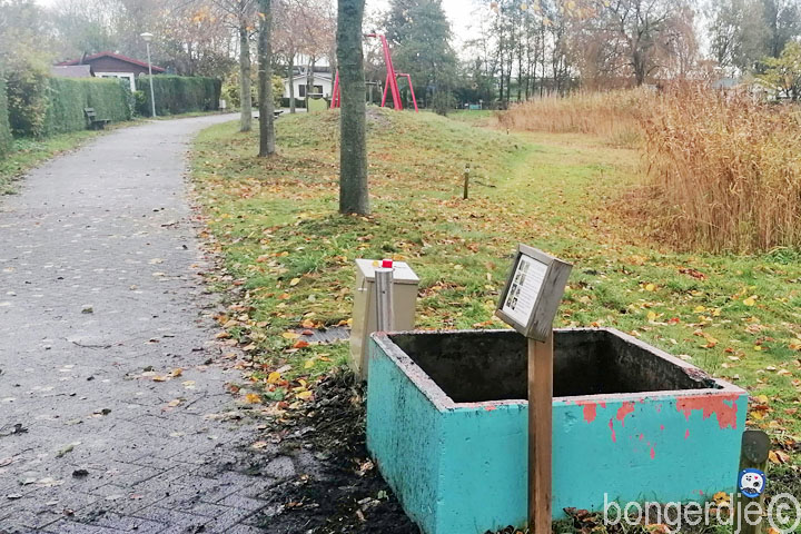 herfst - mistig op de Bongerd