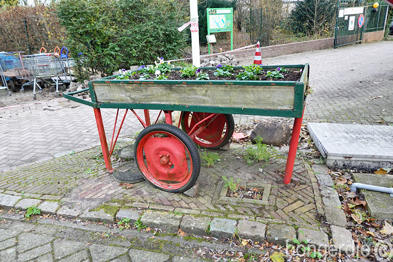  plantenkar gaat bijna om 