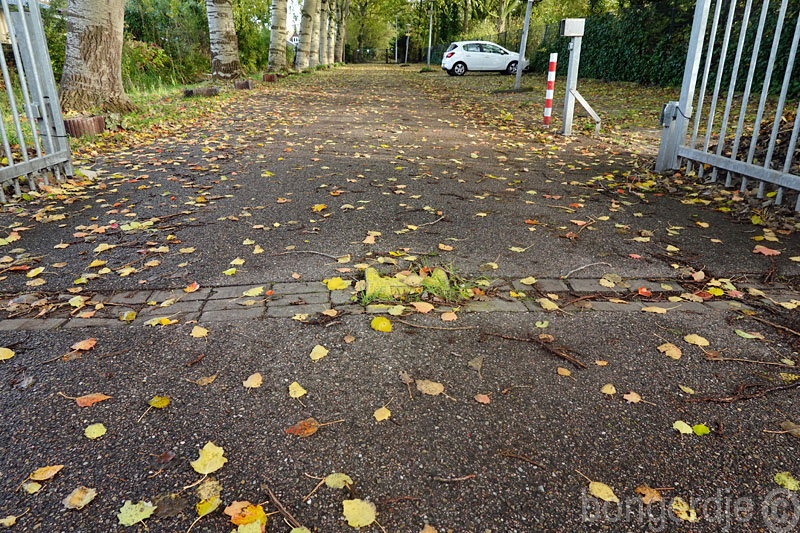  struikelsteen op de Bongerd 