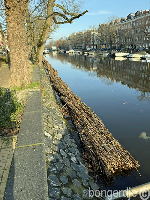   wilgenbundel als hulp bij hoge beschoeiing voor het dierenrijk 