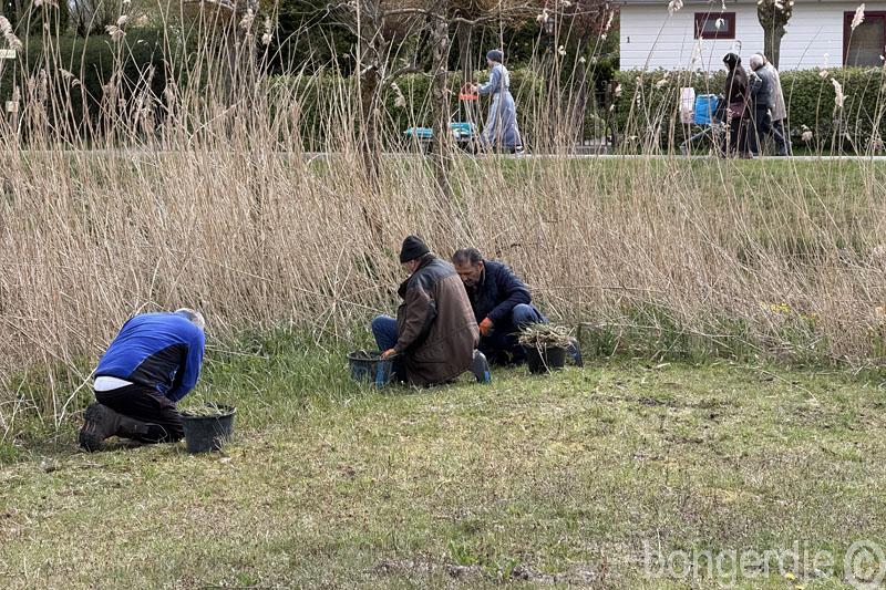  zitten algemeen werk op volkstuinpark de Bongerd 
