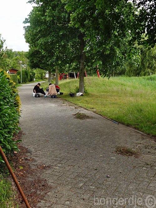  zitten algemeen werk op volkstuinpark de Bongerd 