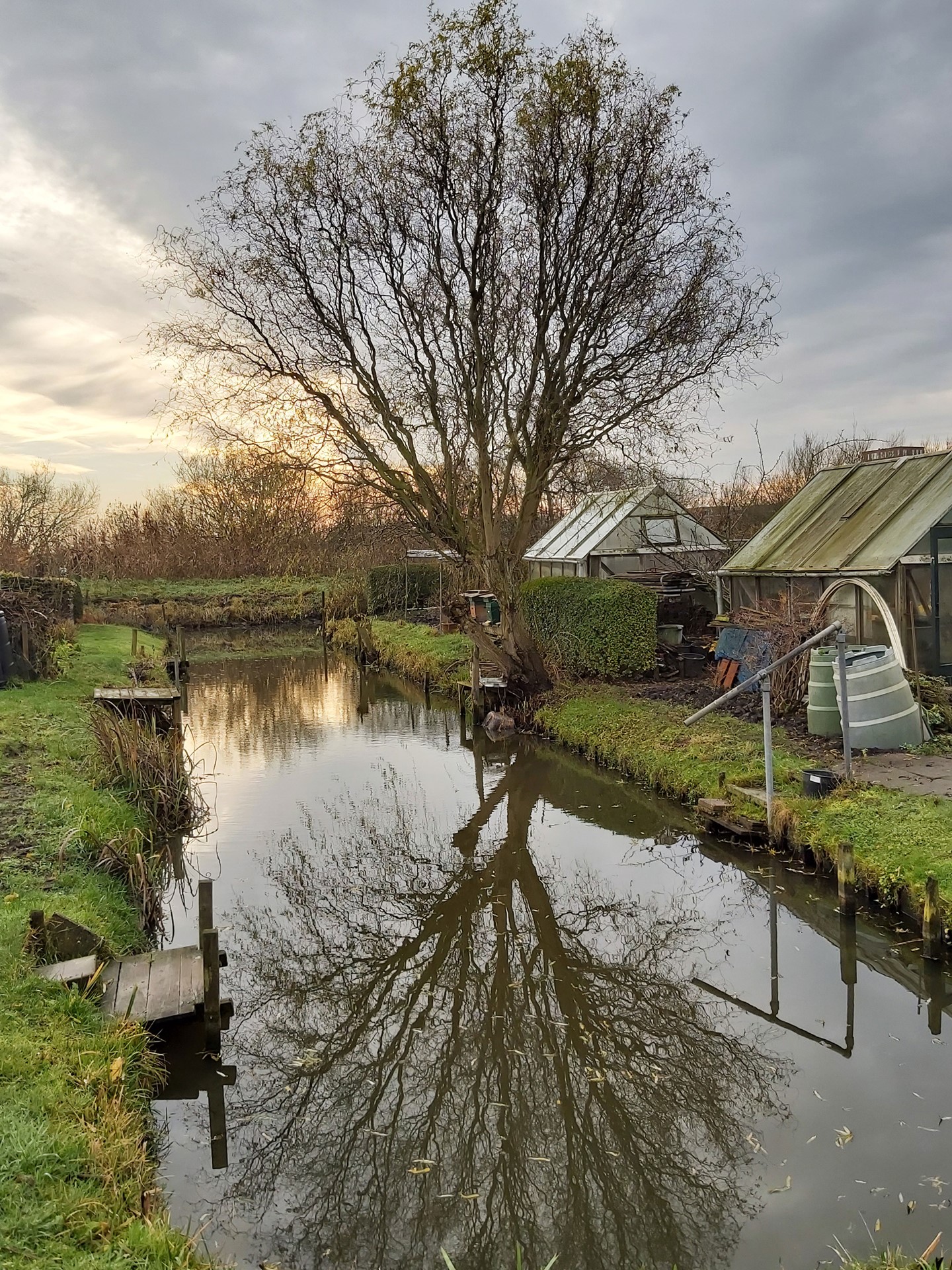 De-Tuinliefhebber-fotowedstrijd-bomen-winnaar©Frank-Droogers.jpg